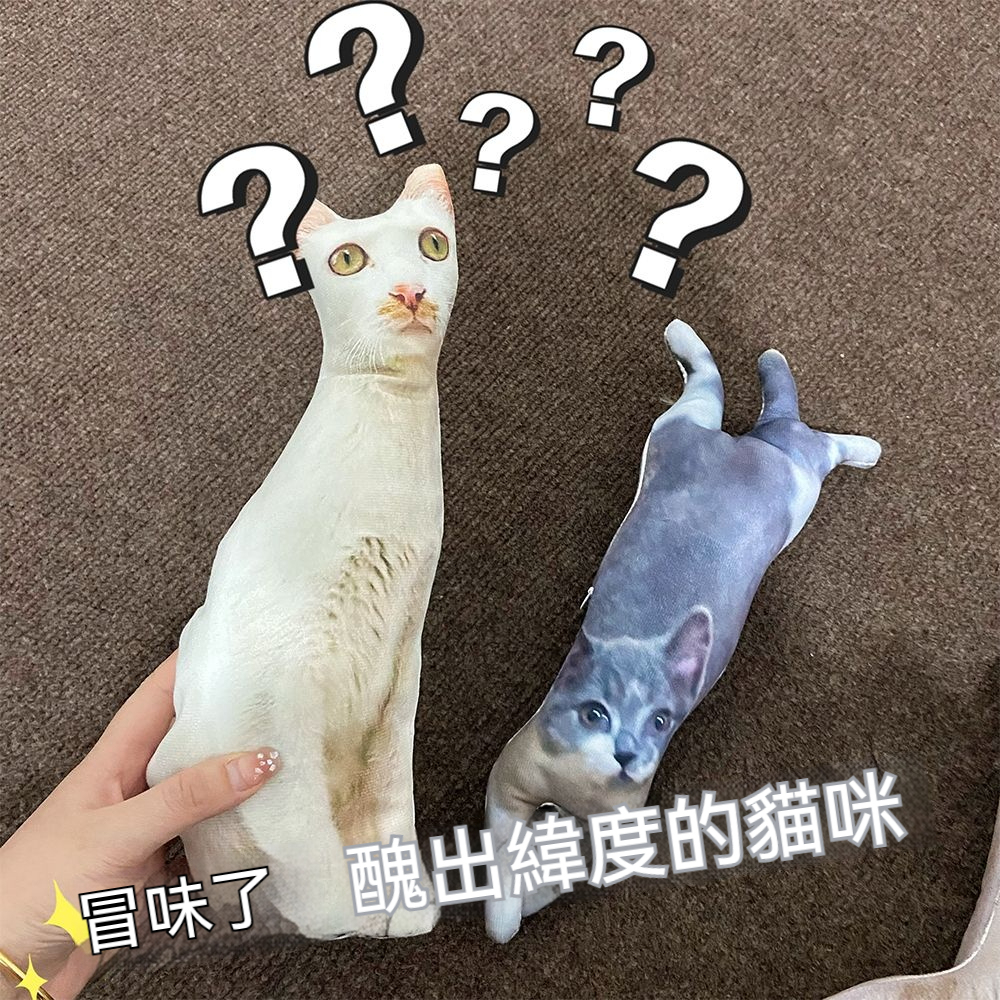 來圖客訂無白邊抱枕—可印照片異型寵物,人形靠枕/仿真禮物