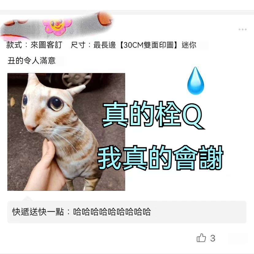 來圖客訂無白邊抱枕—可印照片異型寵物,人形靠枕/仿真禮物