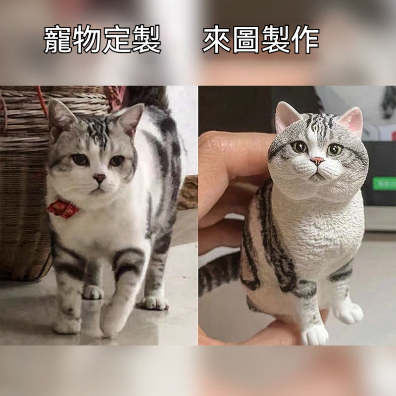 🐈🐕客訂貓咪狗狗石膏頭像—可愛貓咪狗狗擺飾