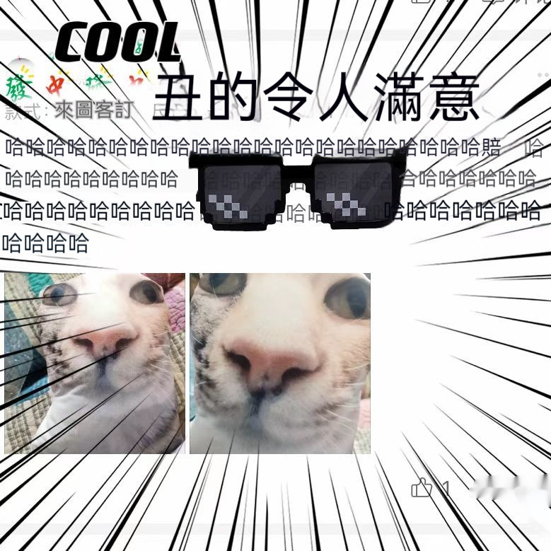 來圖客訂無白邊抱枕—可印照片異型寵物,人形靠枕/仿真禮物