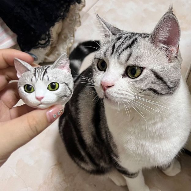 🐈🐕客訂貓咪狗狗石膏頭像—可愛貓咪狗狗擺飾