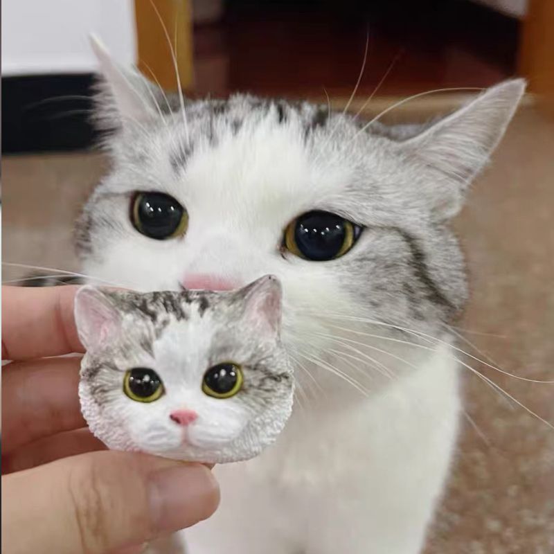 🐈🐕客訂貓咪狗狗石膏頭像—可愛貓咪狗狗擺飾