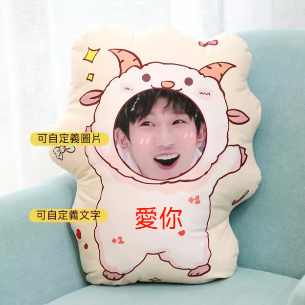 人形抱枕定制logo来图定做diy情侣真人照片异形公仔玩偶娃娃礼物