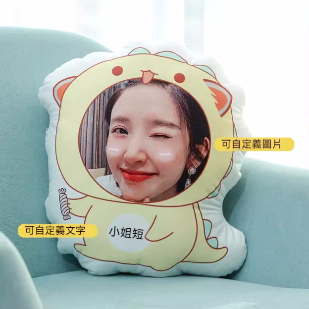 人形抱枕定制logo来图定做diy情侣真人照片异形公仔玩偶娃娃礼物