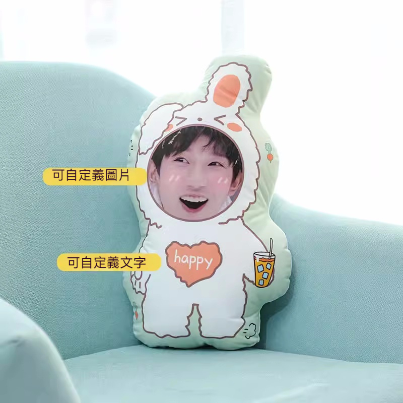 人形抱枕定制logo来图定做diy情侣真人照片异形公仔玩偶娃娃礼物