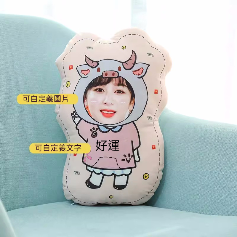 人形抱枕定制logo来图定做diy情侣真人照片异形公仔玩偶娃娃礼物