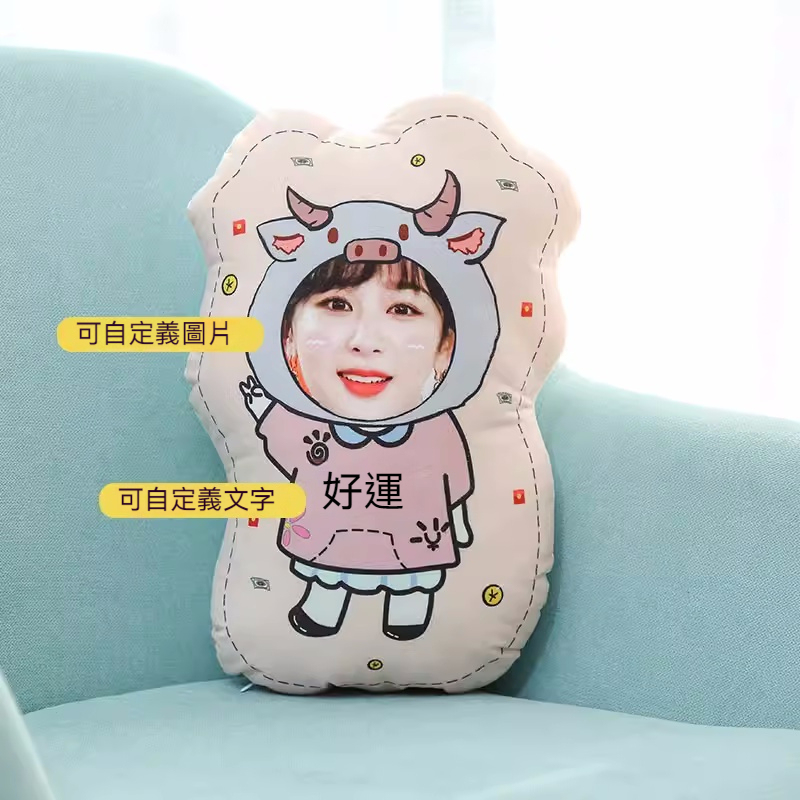 人形抱枕定制logo来图定做diy情侣真人照片异形公仔玩偶娃娃礼物