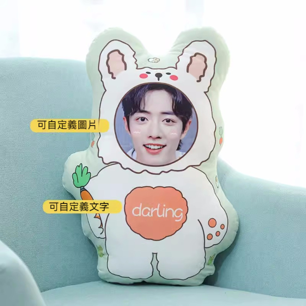 人形抱枕定制logo来图定做diy情侣真人照片异形公仔玩偶娃娃礼物