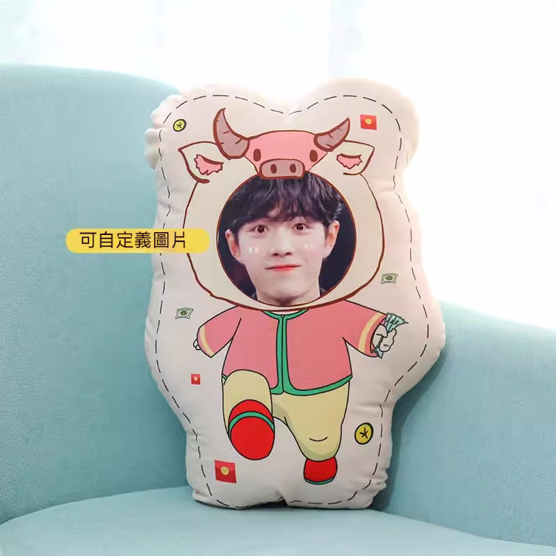 人形抱枕定制logo来图定做diy情侣真人照片异形公仔玩偶娃娃礼物