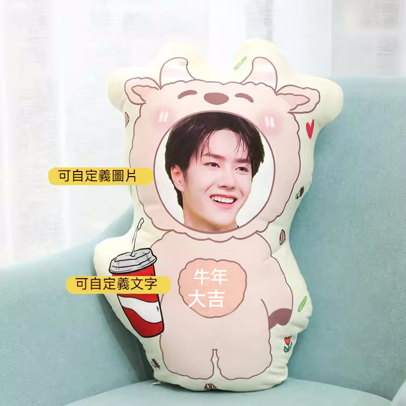 人形抱枕定制logo来图定做diy情侣真人照片异形公仔玩偶娃娃礼物