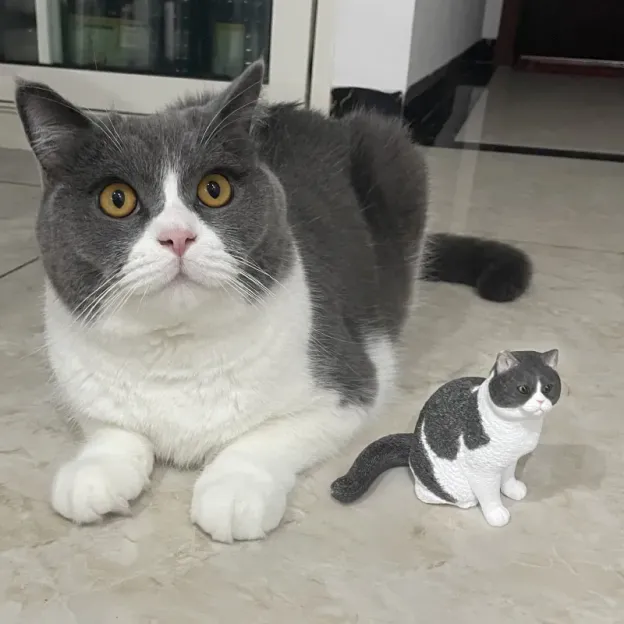 🐈🐕客訂貓咪狗狗石膏頭像—可愛貓咪狗狗擺飾