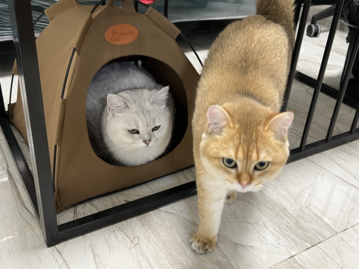 存档后，新建多规格商品