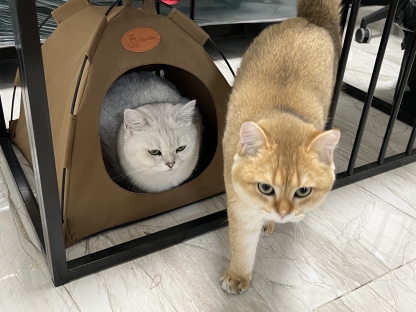 存档后，新建多规格商品