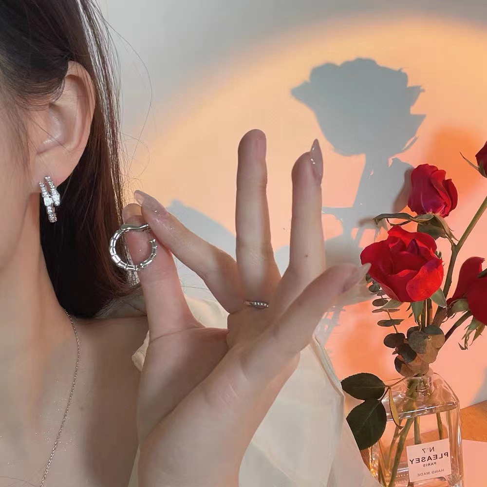 BVLGAR1 ダイヤモンド スネーク イヤリング【50％割引+送料無料】