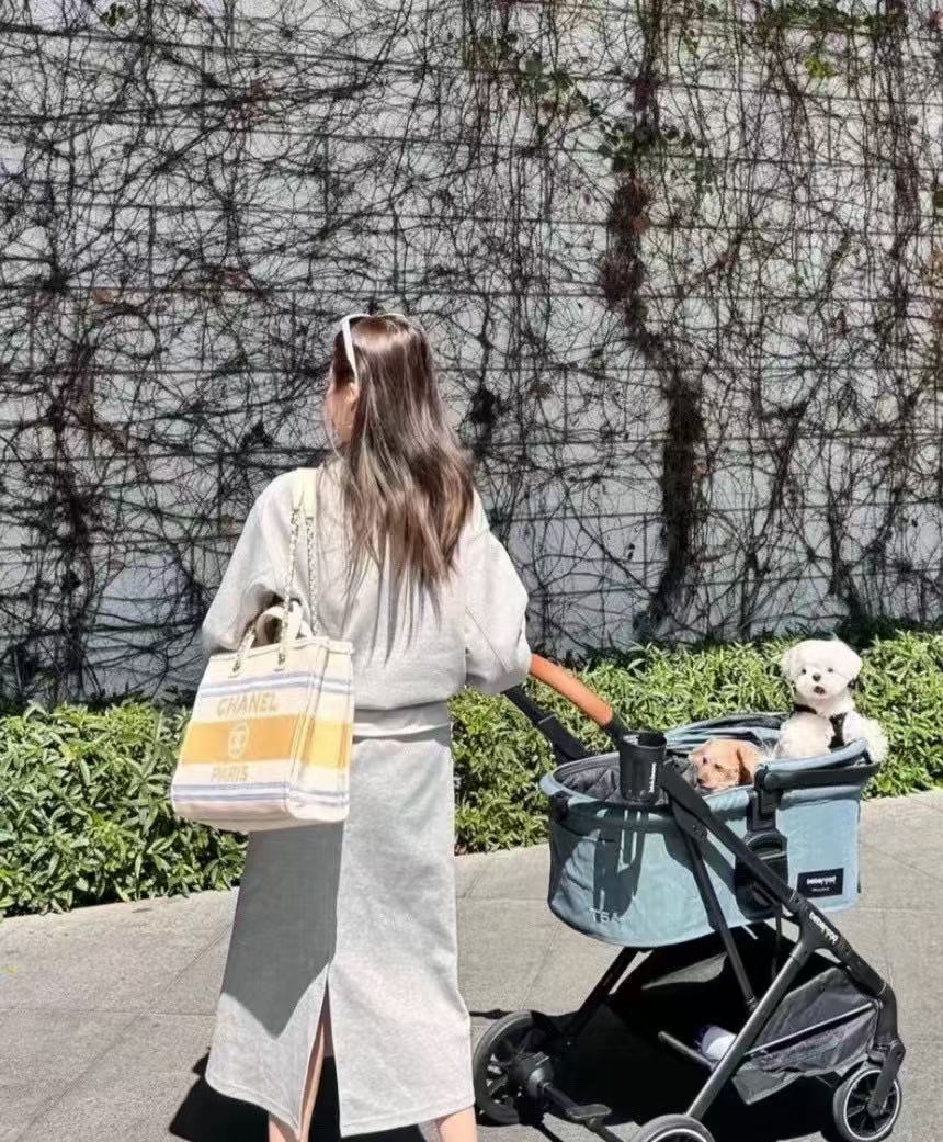 CHANE1 チェーンキャンバスビーチバッグ【 50％割引+送料無料】