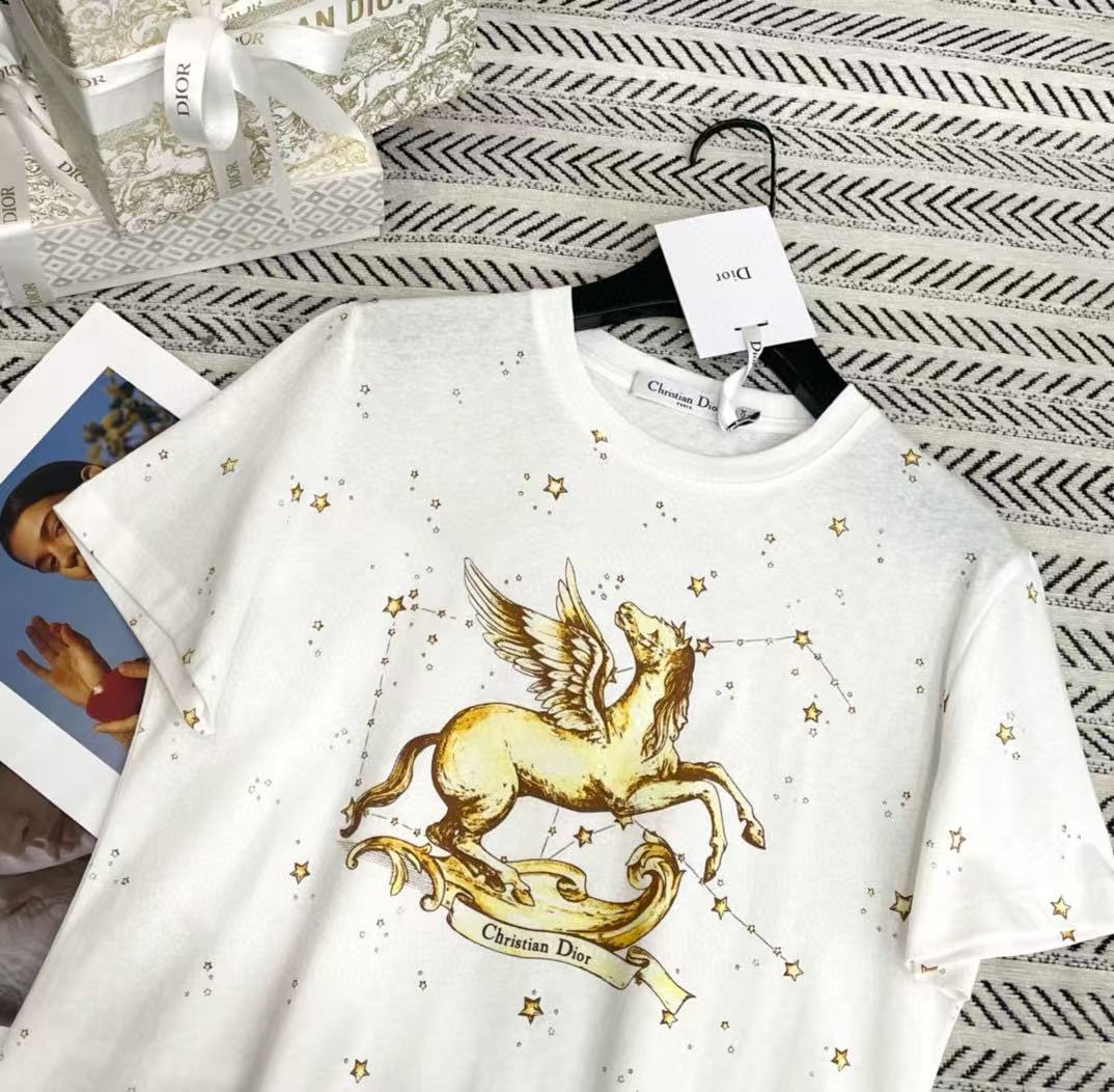 DIOR 五芒星プリント ポニーレター Tシャツ【50％割引+送料無料】