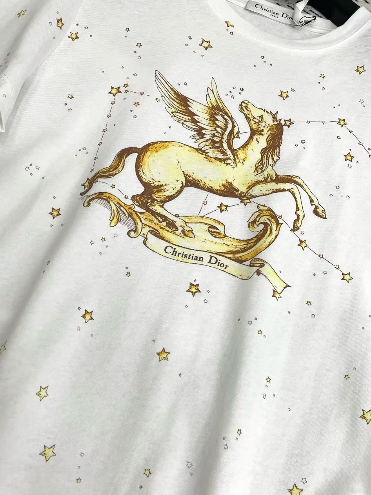 DIOR 五芒星プリント ポニーレター Tシャツ【50％割引+送料無料】