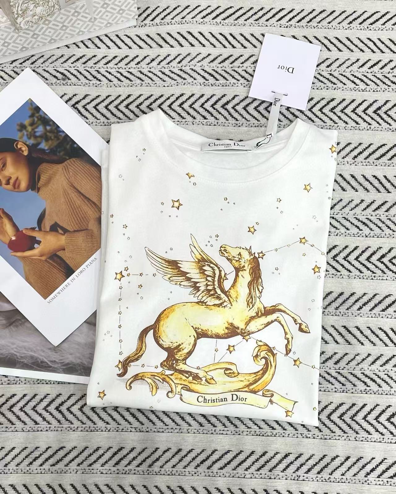 DIOR 五芒星プリント ポニーレター Tシャツ【50％割引+送料無料】