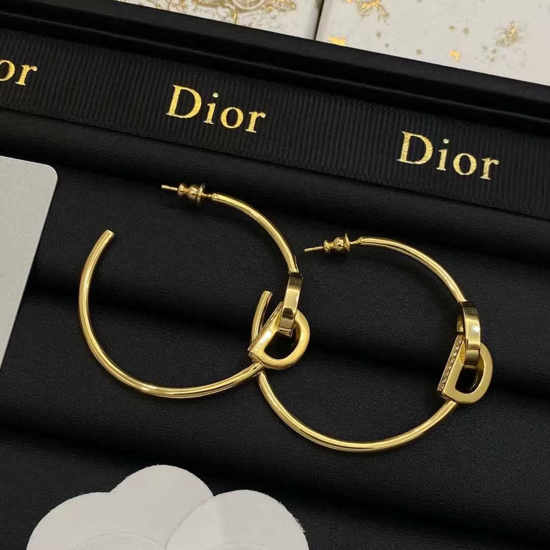 DIOR ミニマリスト フープピアス【50％割引+送料無料】