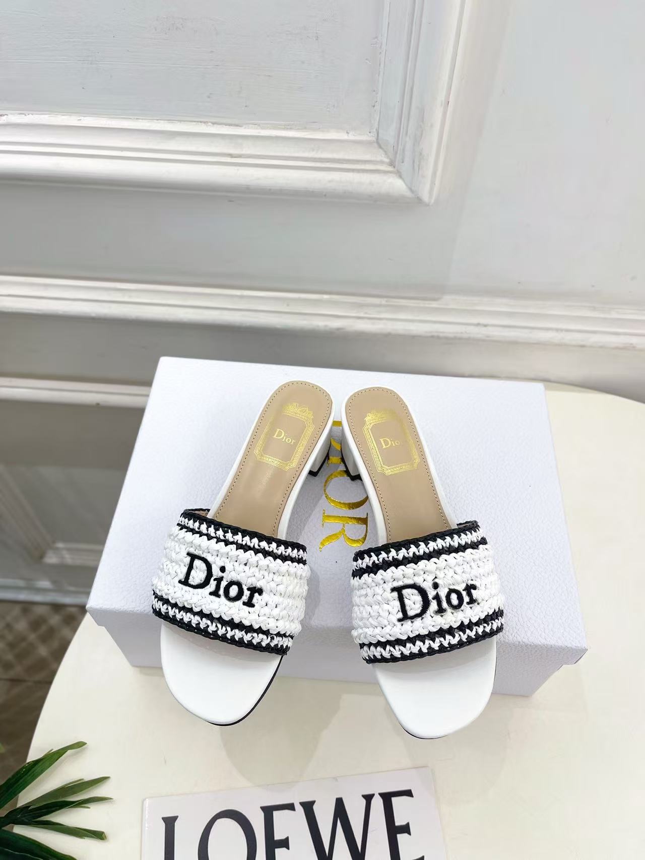 DIOR 高品質な刺繍入りローヒールシューズ【50％割引+送料無料】