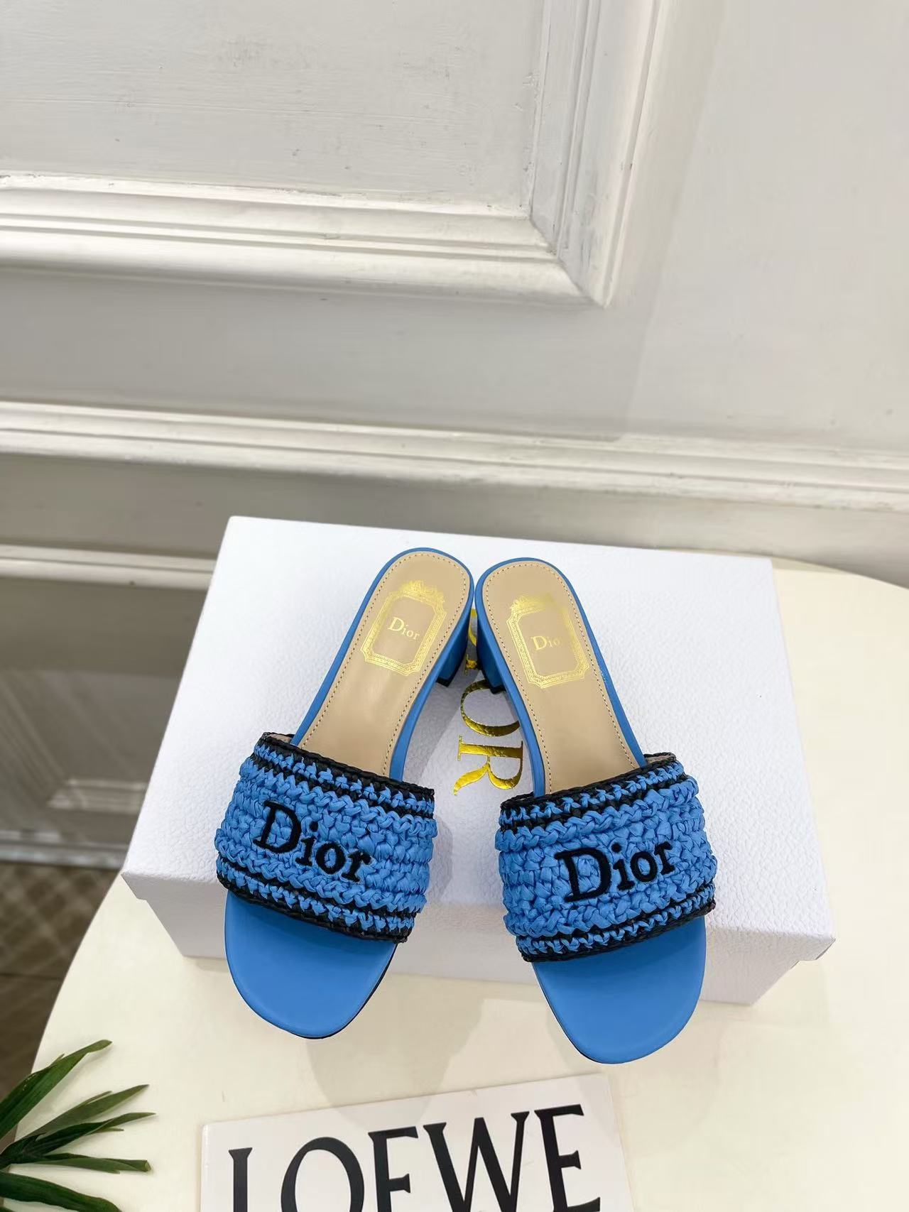 DIOR 高品質な刺繍入りローヒールシューズ【50％割引+送料無料】