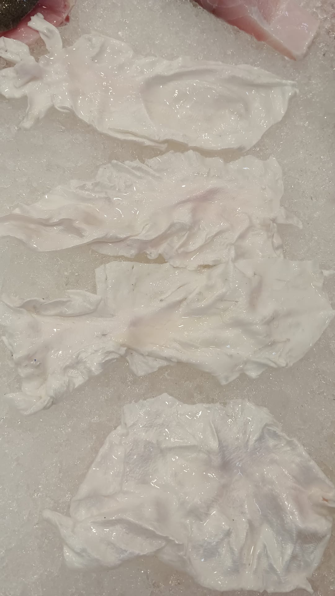 Fresh Fish Maw 鱼鳔