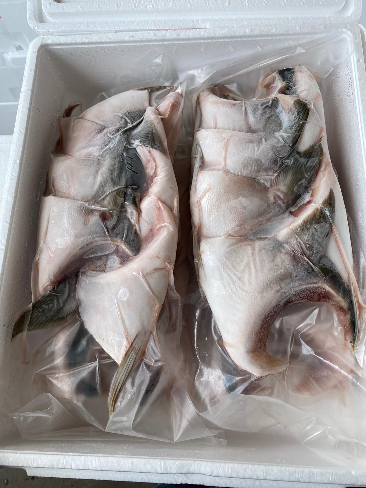 Wild Hamachi Kama はまちのカマ (Yellowtail Collar)