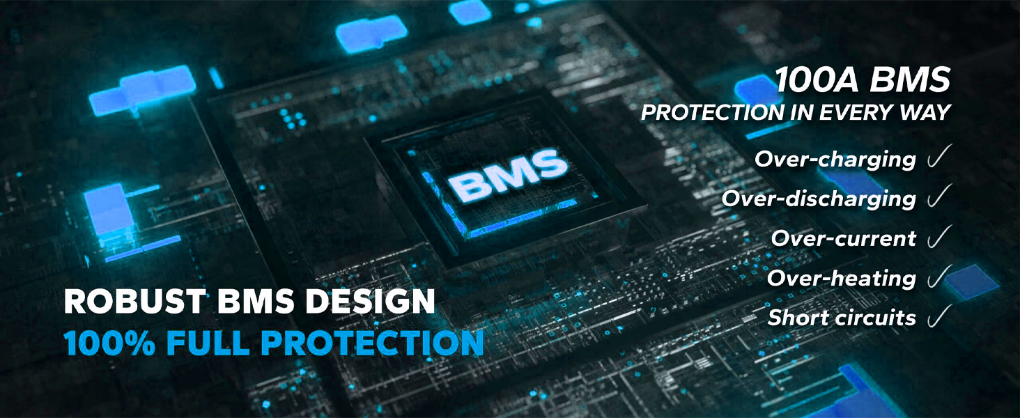 BMS Protection
