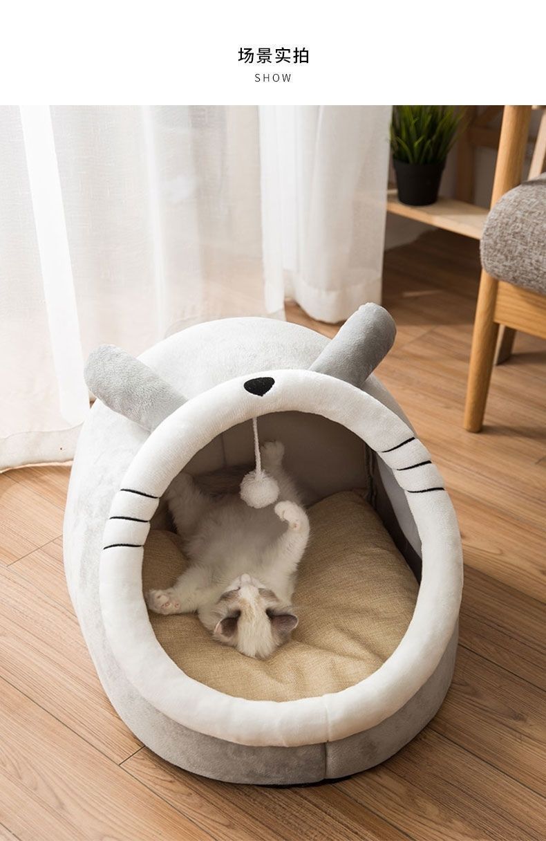 猫咪用品（套装）