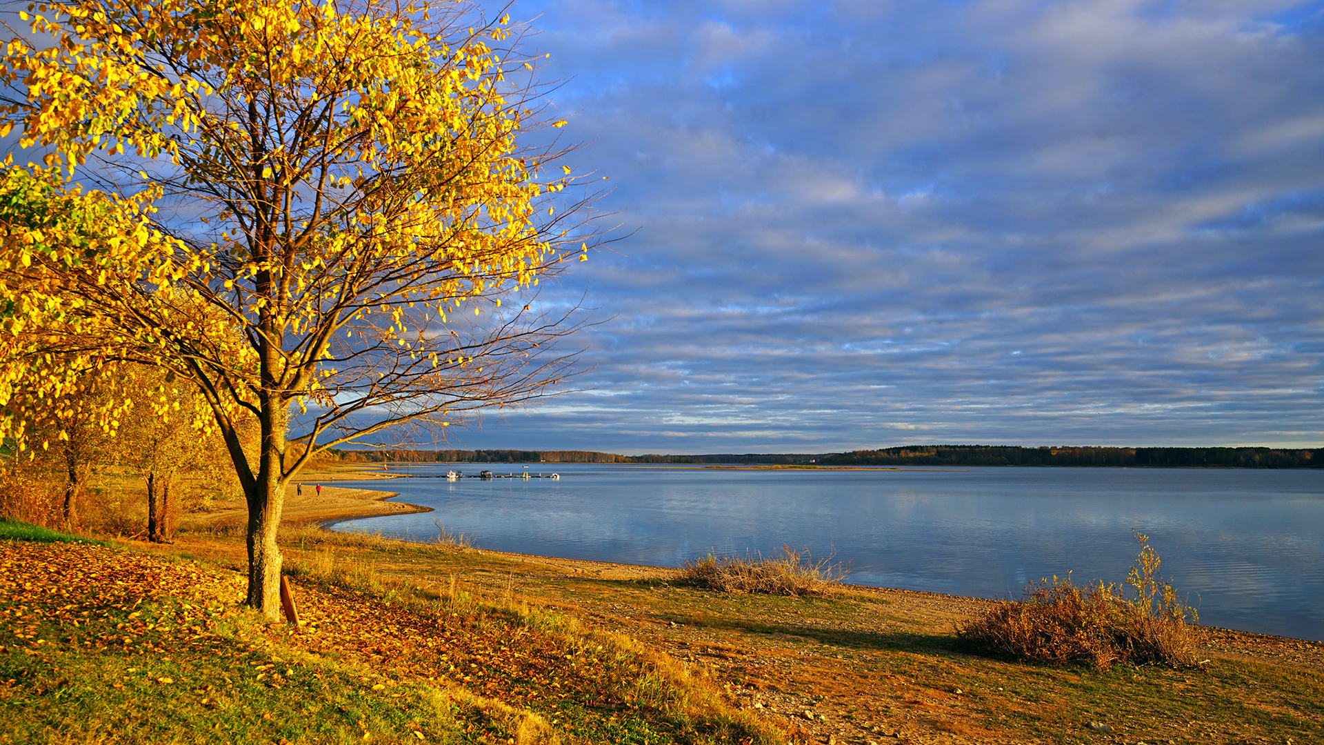 Imagination is not a talent of some men but is the health of every man.