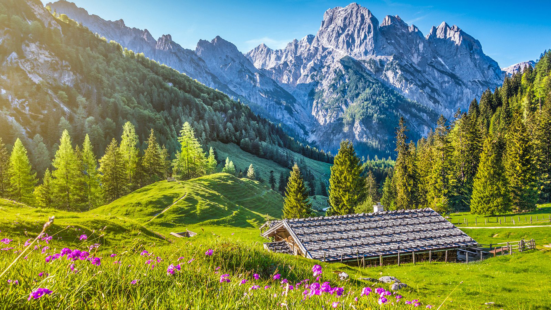 If you think you can, you can. And if you think you can't, you're right.