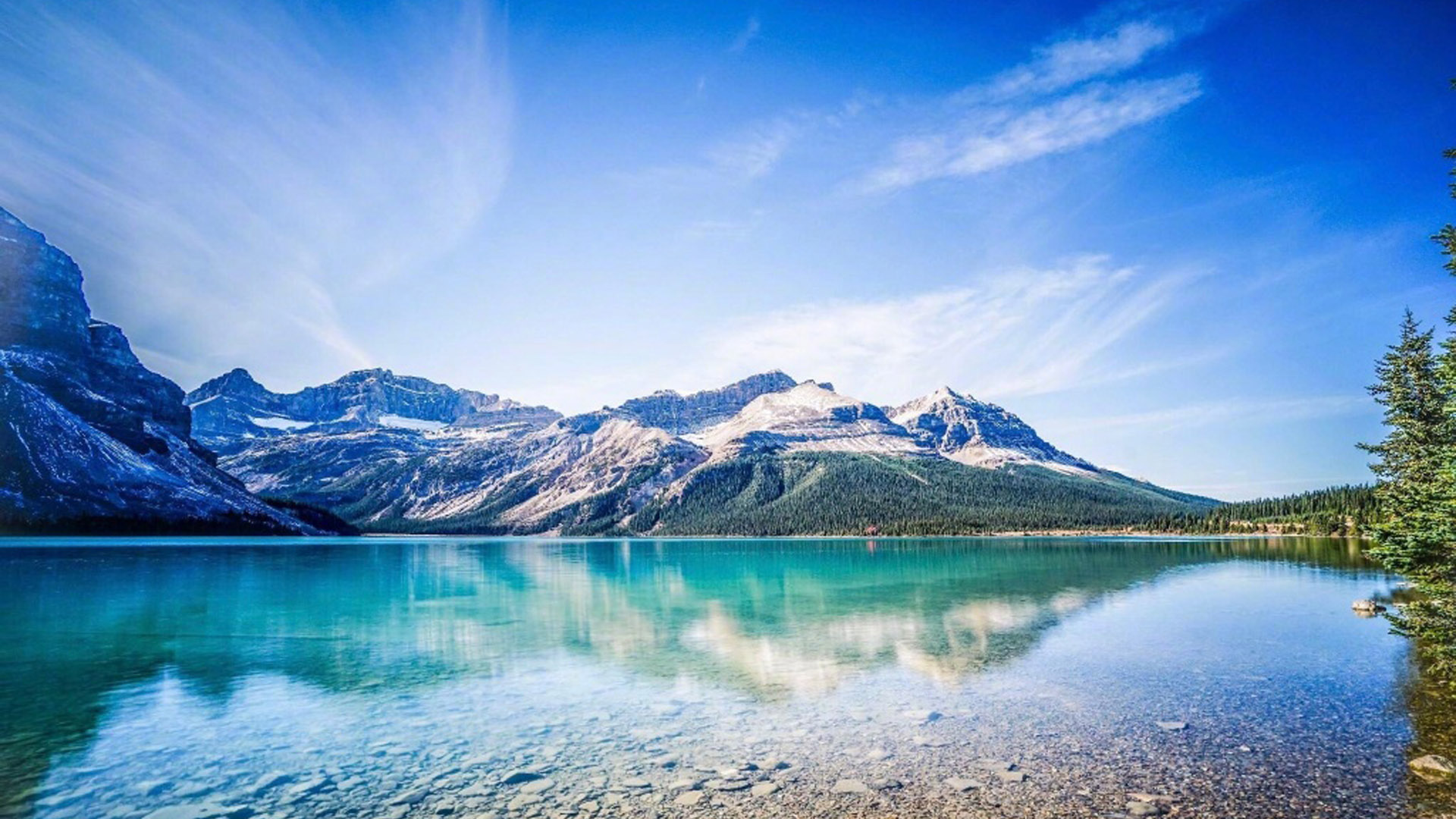 A friend is what the heart needs all the time.