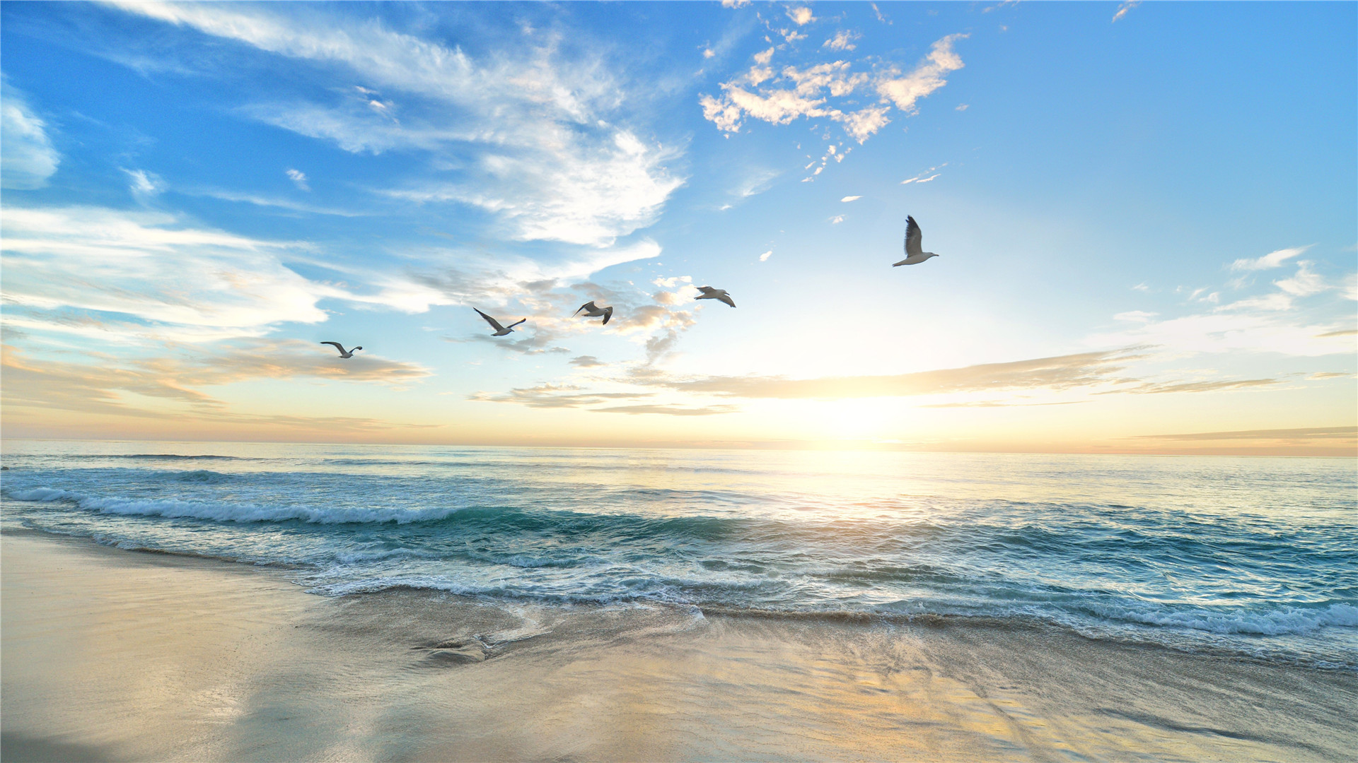 A friend is what the heart needs all the time.