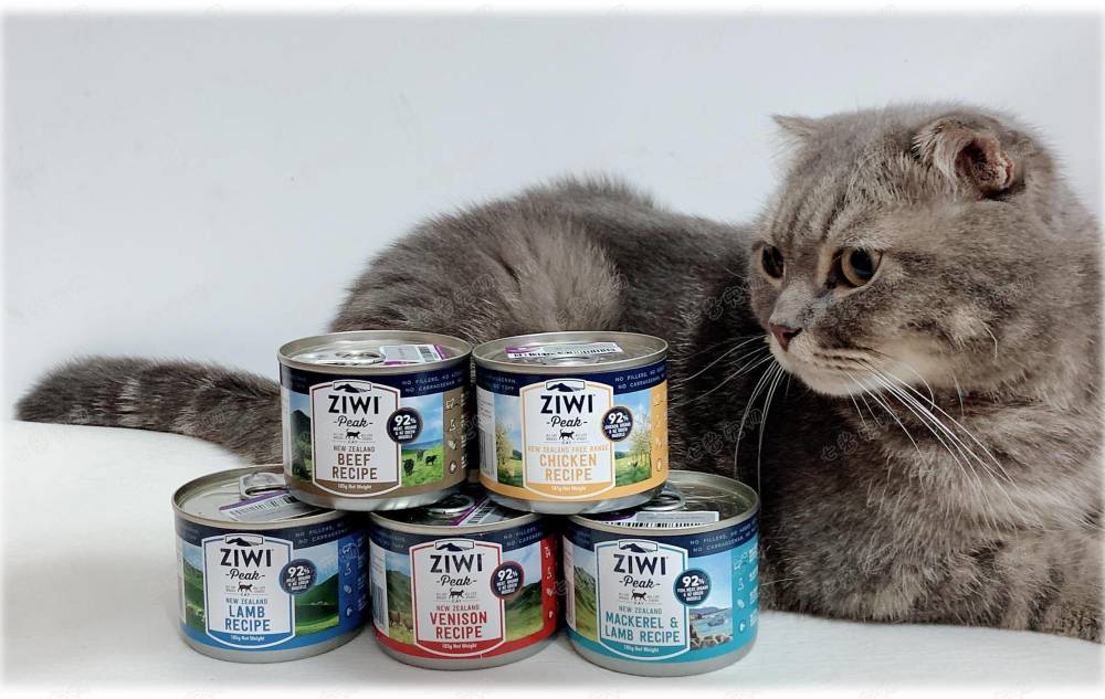 猫咪用品（套装）