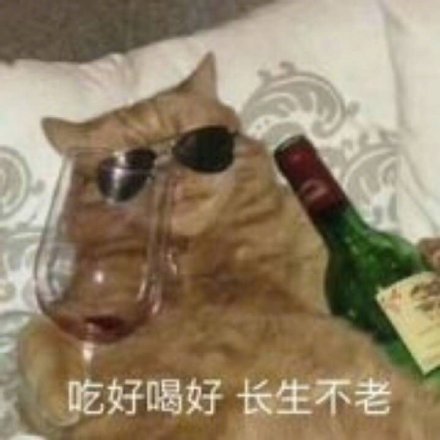 product_imge_0116001_CCCC