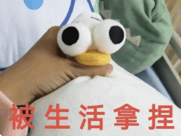 product_imge_0116001_CCCC