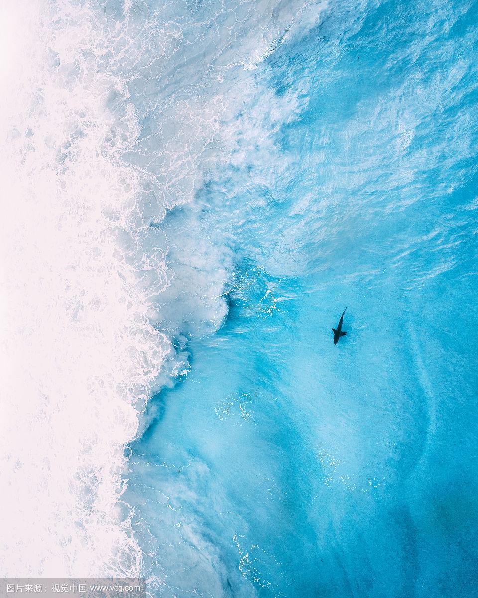 Smartwatch with Midnight Aluminum