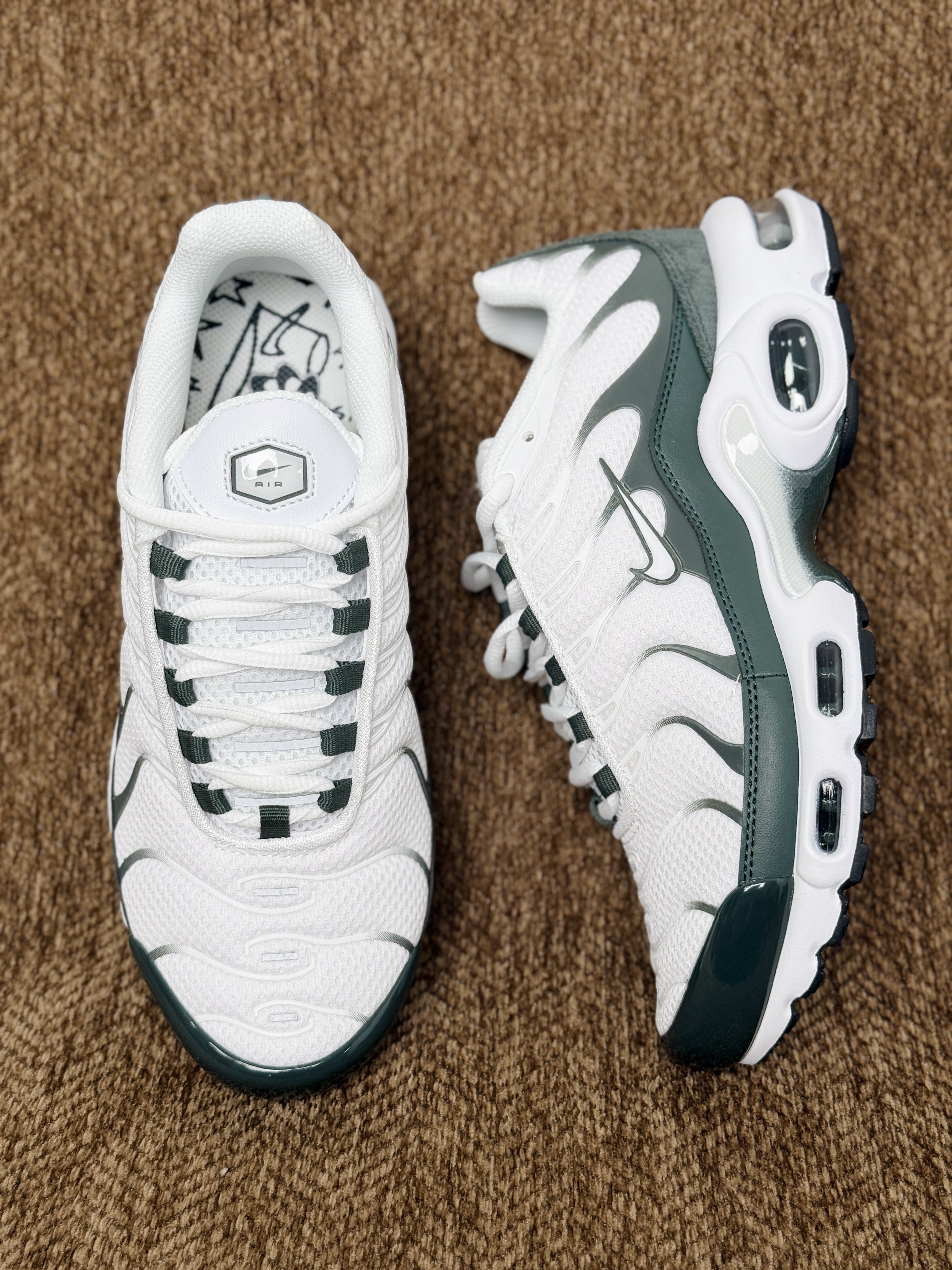 Nike Air Max Plus  TN大气垫 低筒 网布防滑 运动鞋 休闲鞋 球鞋 男鞋 波鞋  白绿 FV6057-100