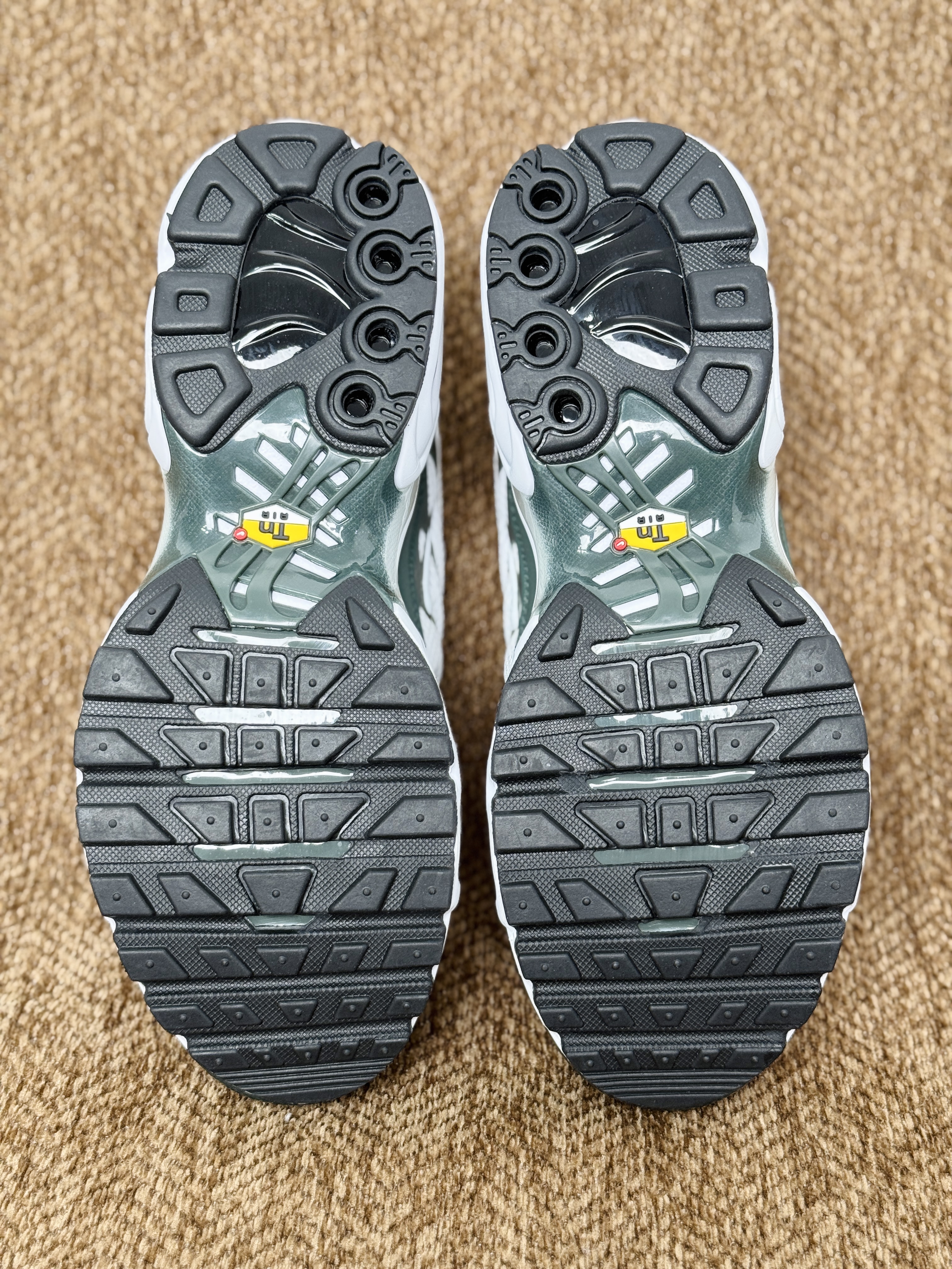 Nike Air Max Plus  TN大气垫 低筒 网布防滑 运动鞋 休闲鞋 球鞋 男鞋 波鞋  白绿 FV6057-100