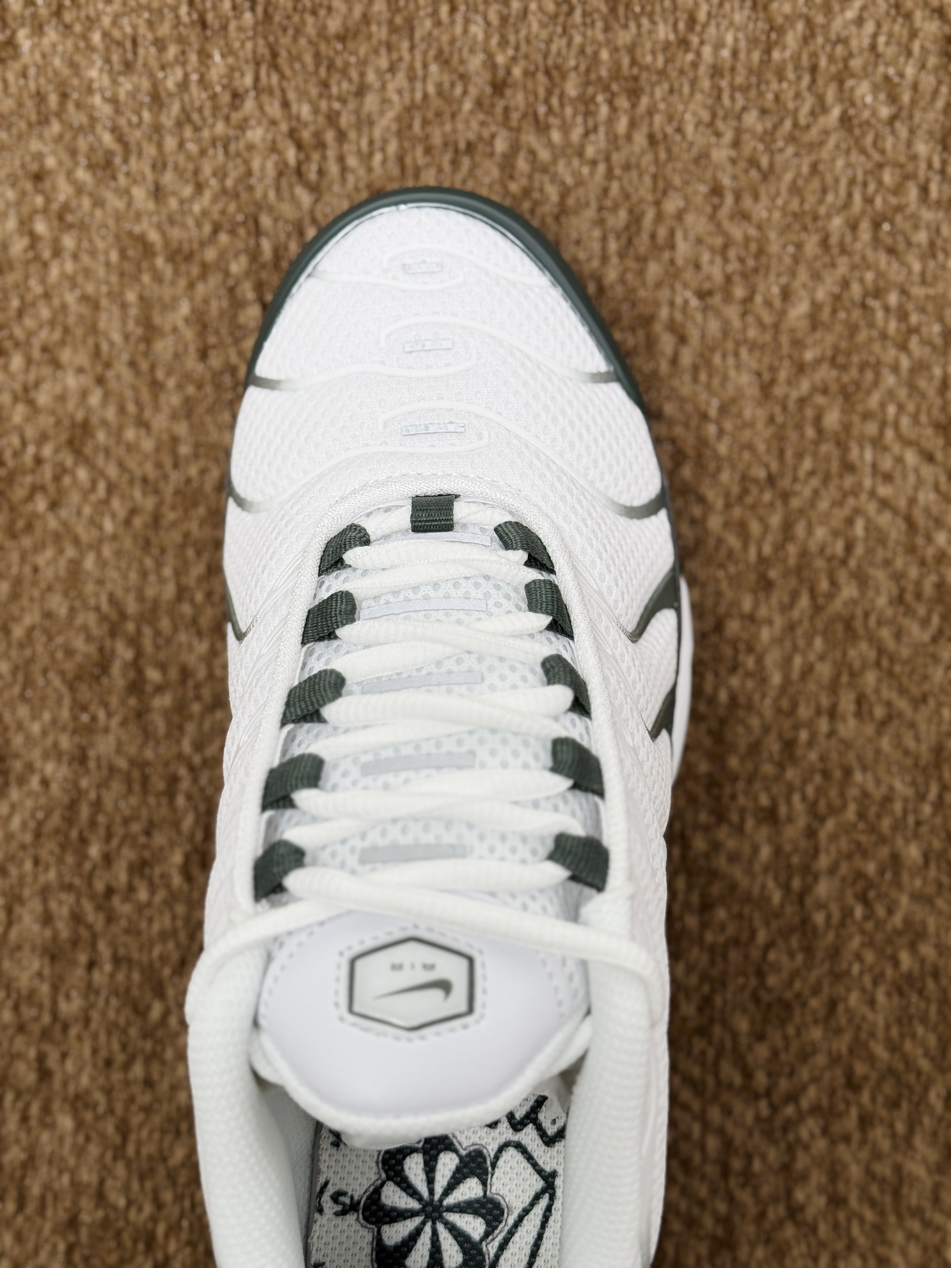 Nike Air Max Plus  TN大气垫 低筒 网布防滑 运动鞋 休闲鞋 球鞋 男鞋 波鞋  白绿 FV6057-100