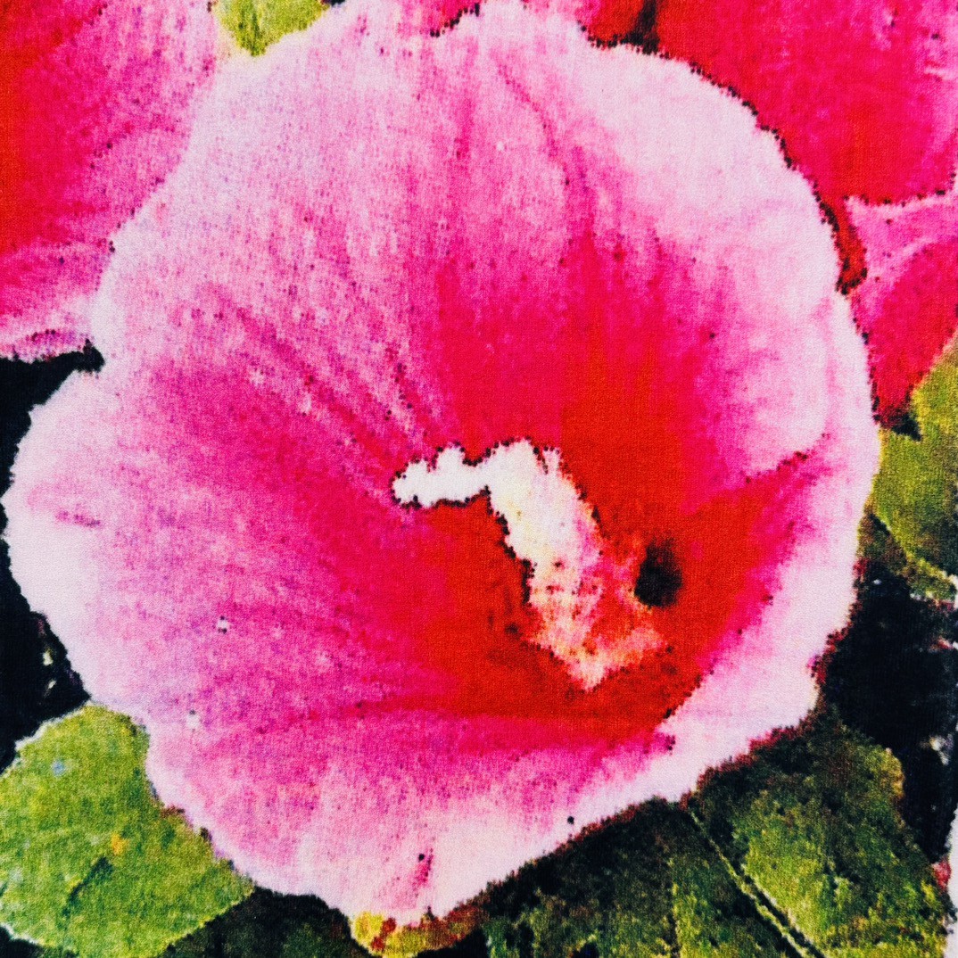 Supreme FW23 首尔开业限定系列 Box Logo Tee 字母花卉印花 圆领 短袖 T恤 男女同款 白色 SUP-FW23-051