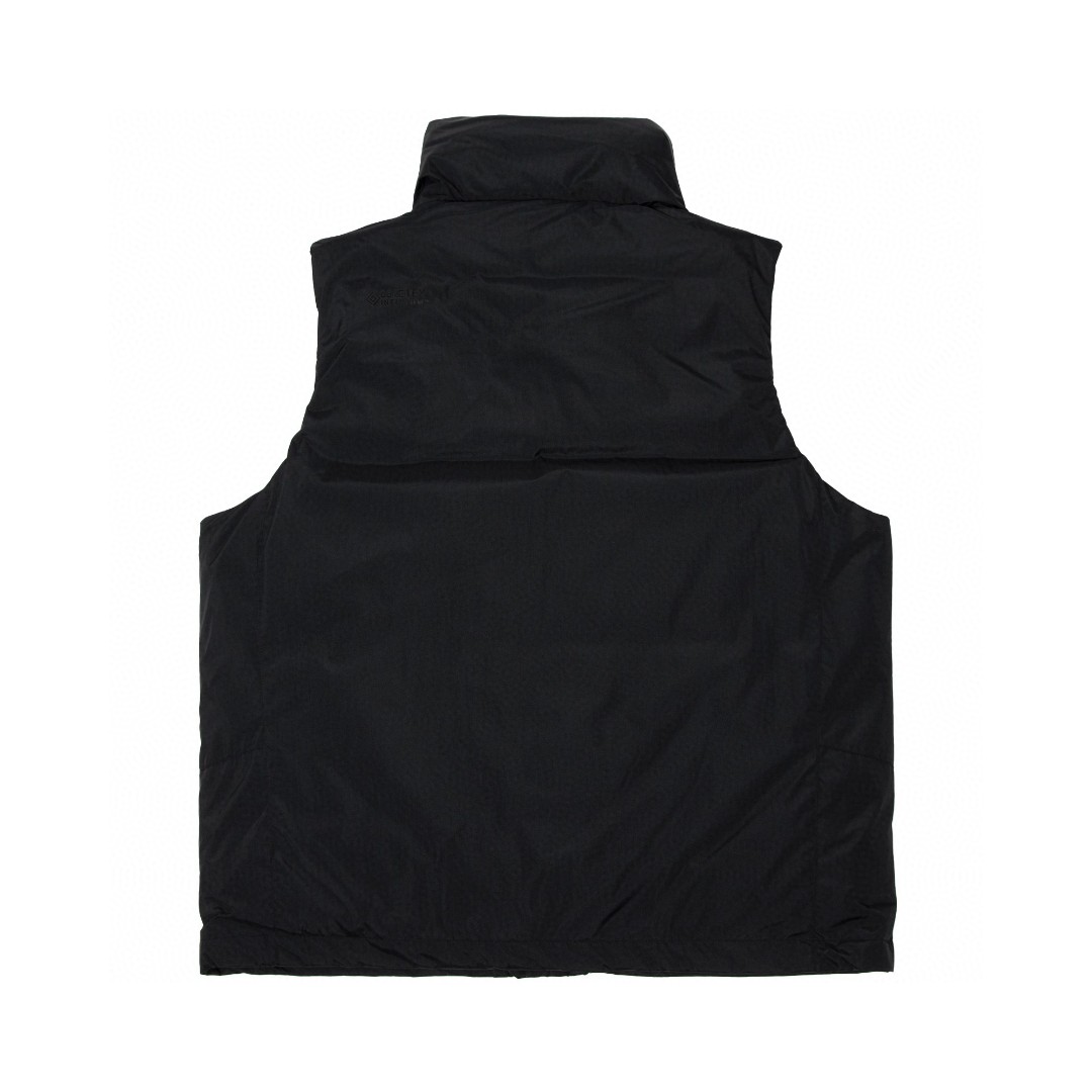 DAIWA PIER39 GORE TEX FIELD DOWNVEST21AW 机能防水羽绒马甲 背心 夹克 外套 