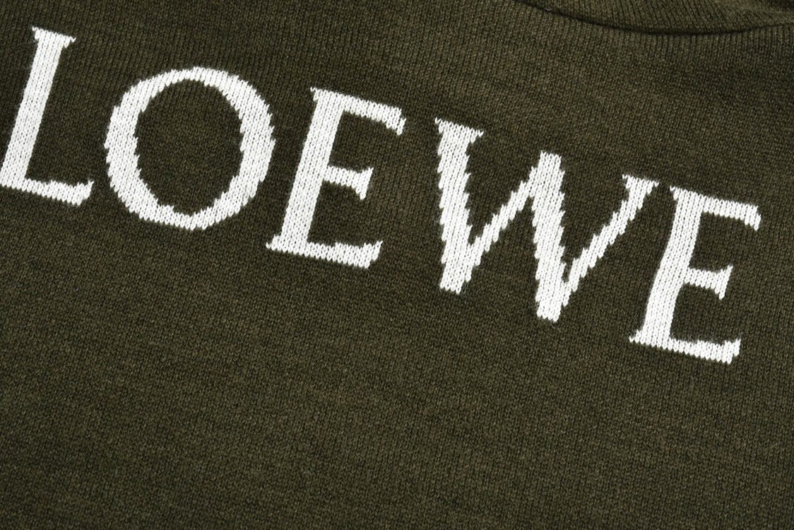 LOEWE 罗意威 logo提花羊毛连帽毛衣 长袖 绿色 H526Y14KGZ-5102