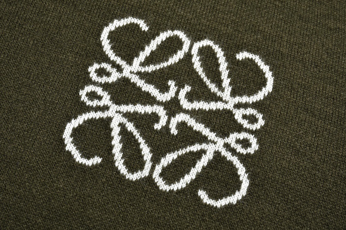 LOEWE 罗意威 logo提花羊毛连帽毛衣 长袖 绿色 H526Y14KGZ-5102