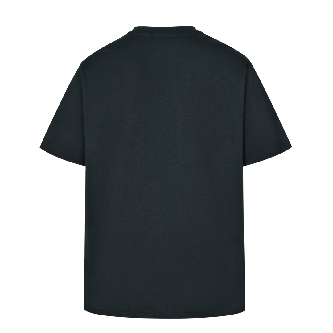 DIOR 迪奥 Kaws 25SS 联名蛇年刺绣图案短袖 圆领 T恤 夏季 白色 黑色 513J696F0554-C084