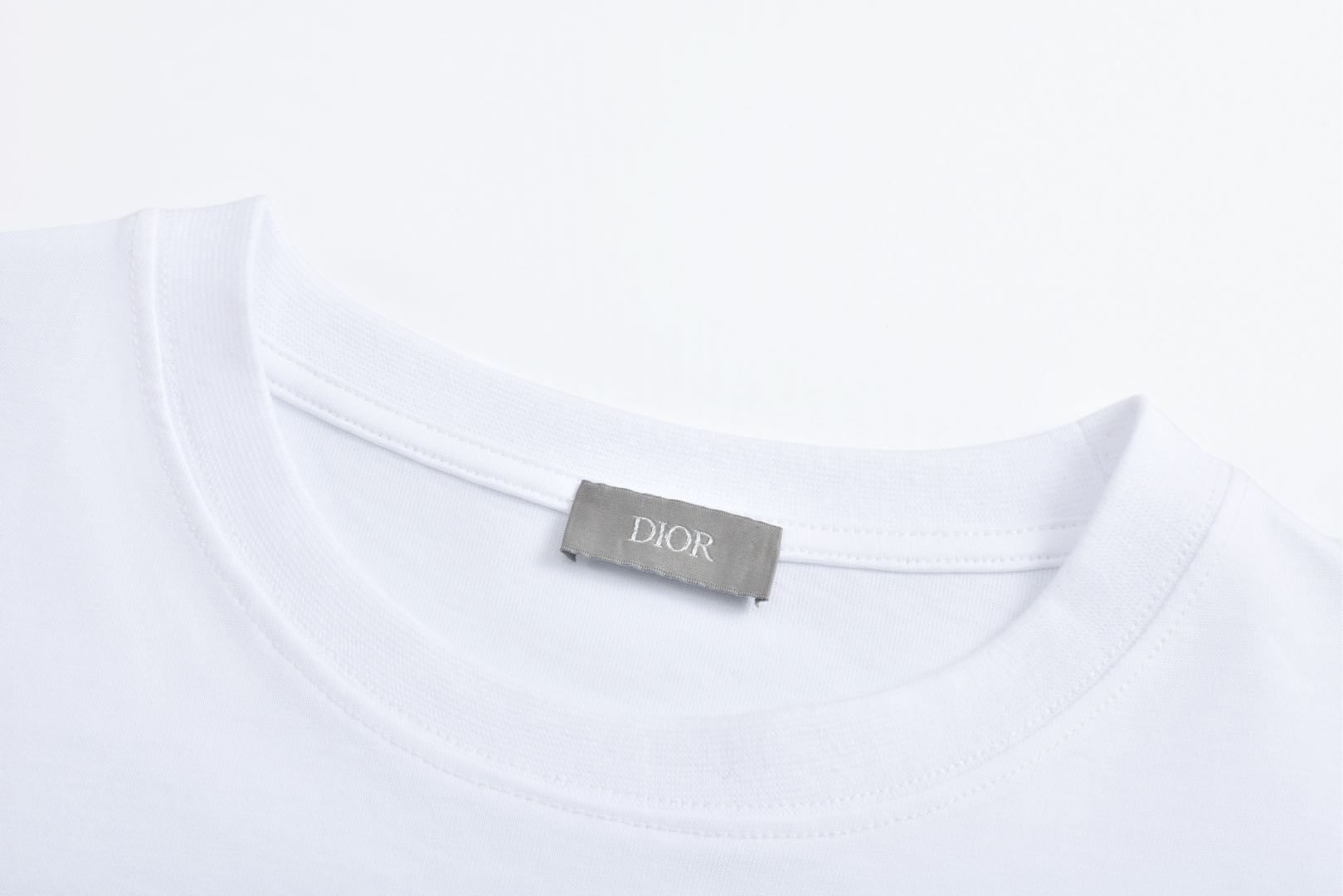 DIOR 迪奥 Kaws 25SS 联名蛇年刺绣图案短袖 圆领 T恤 夏季 白色 黑色 513J696F0554-C084