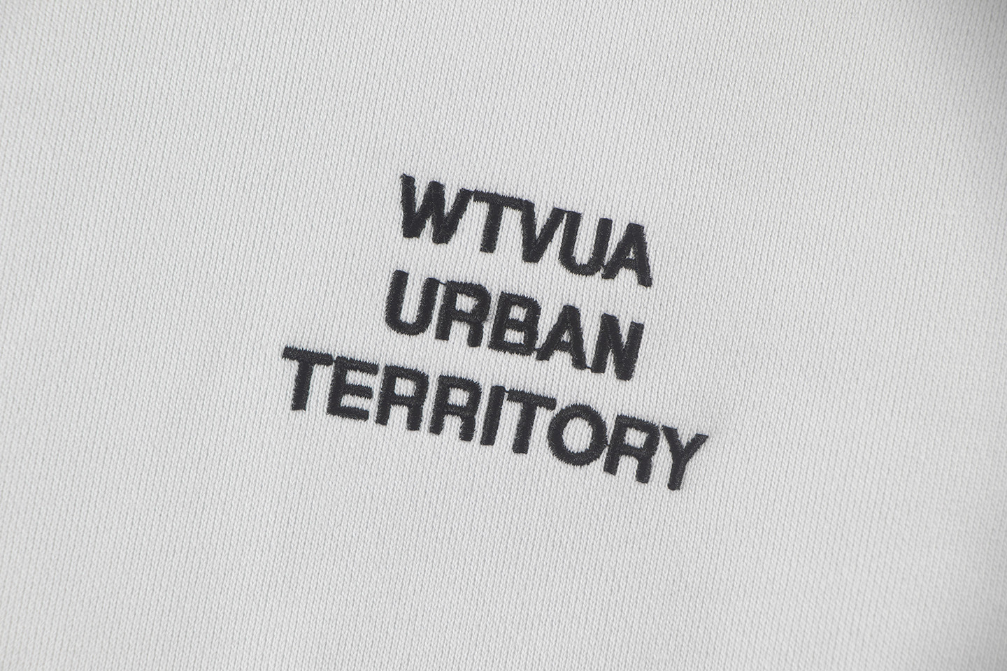 WTAPS Champion 套头卫衣 长袖 黑色 白色 灰色 A5 251ATDT-CSM05