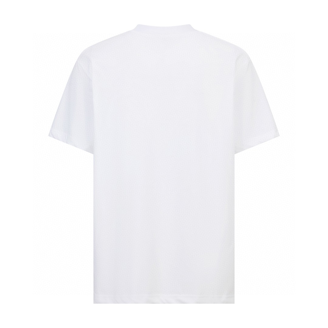 DIOR 迪奥 印花刺绣标识短袖 T恤 夏季 白色 黑色 A0 613J696E0677-C086