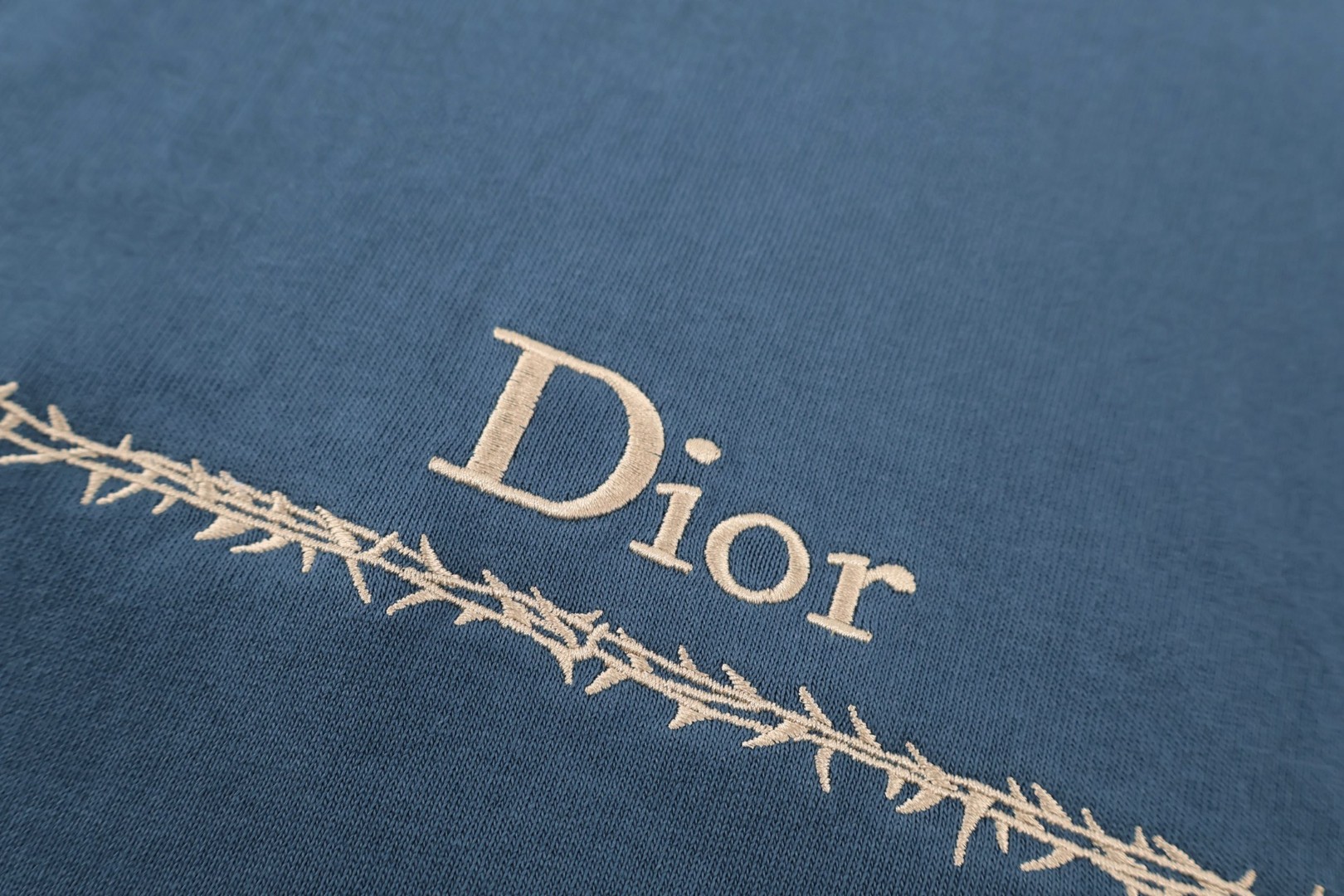 DIOR 迪奥 大框封面刺绣圆领短袖 T恤 夏季 蓝色 A0 683J610A0677-C580