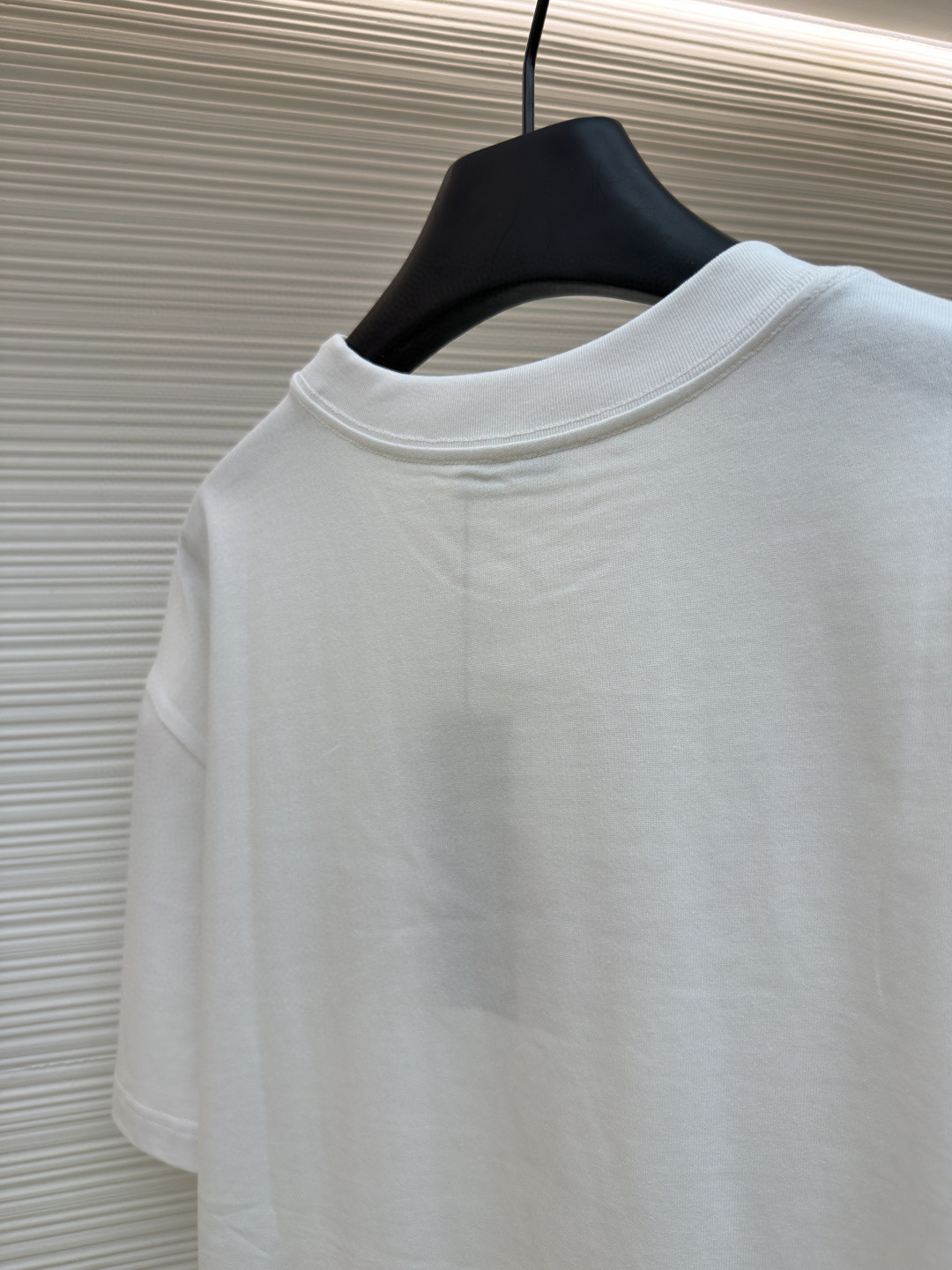 DIOR 迪奥 刺绣字母logo圆领短袖 T恤 夏季 蓝色 白色 A0 483J696B0554-C582